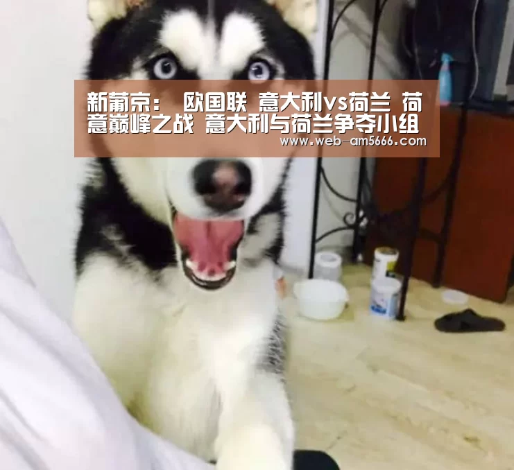 新葡京:
欧国联 意大利vs荷兰 荷意巅峰之战 意大利与荷兰争夺小组第一(图3) 新葡京