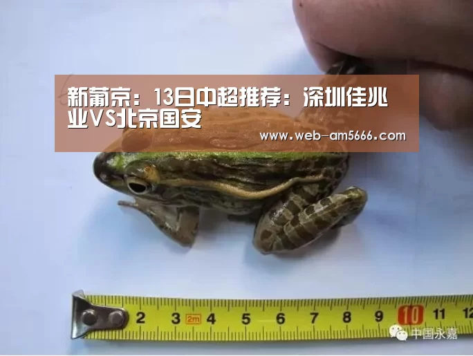 新葡京