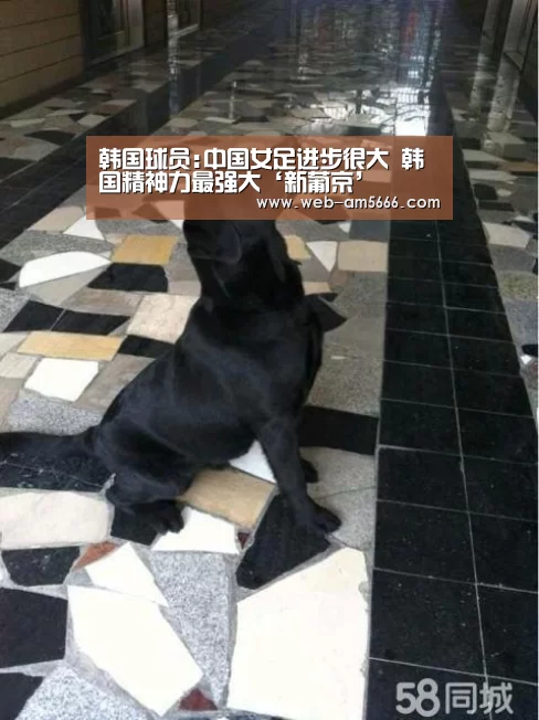 韩国球员:中国女足进步很大 韩国精神力最强大‘新葡京’(图3) 新葡京